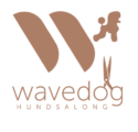 wavedog-salong-sRGB-transparent